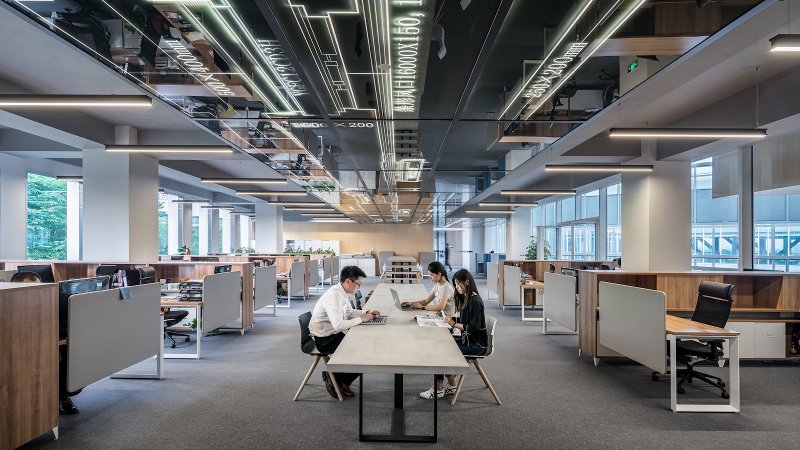A bright, open-plan office interior